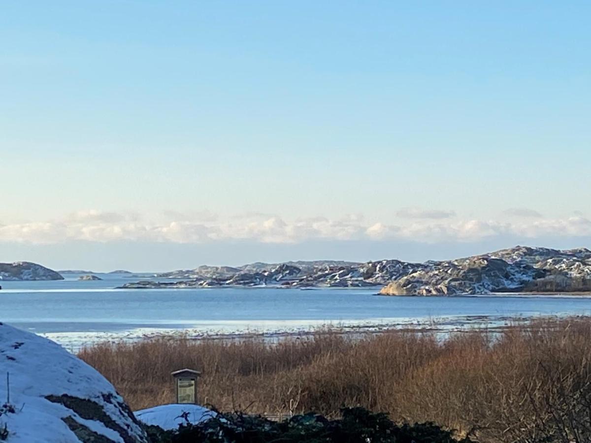 Ferienhaus I Naturskoent Omrade Pa Vaestra Tjoern